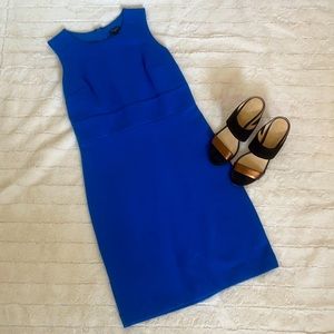 Ann Taylor Dress